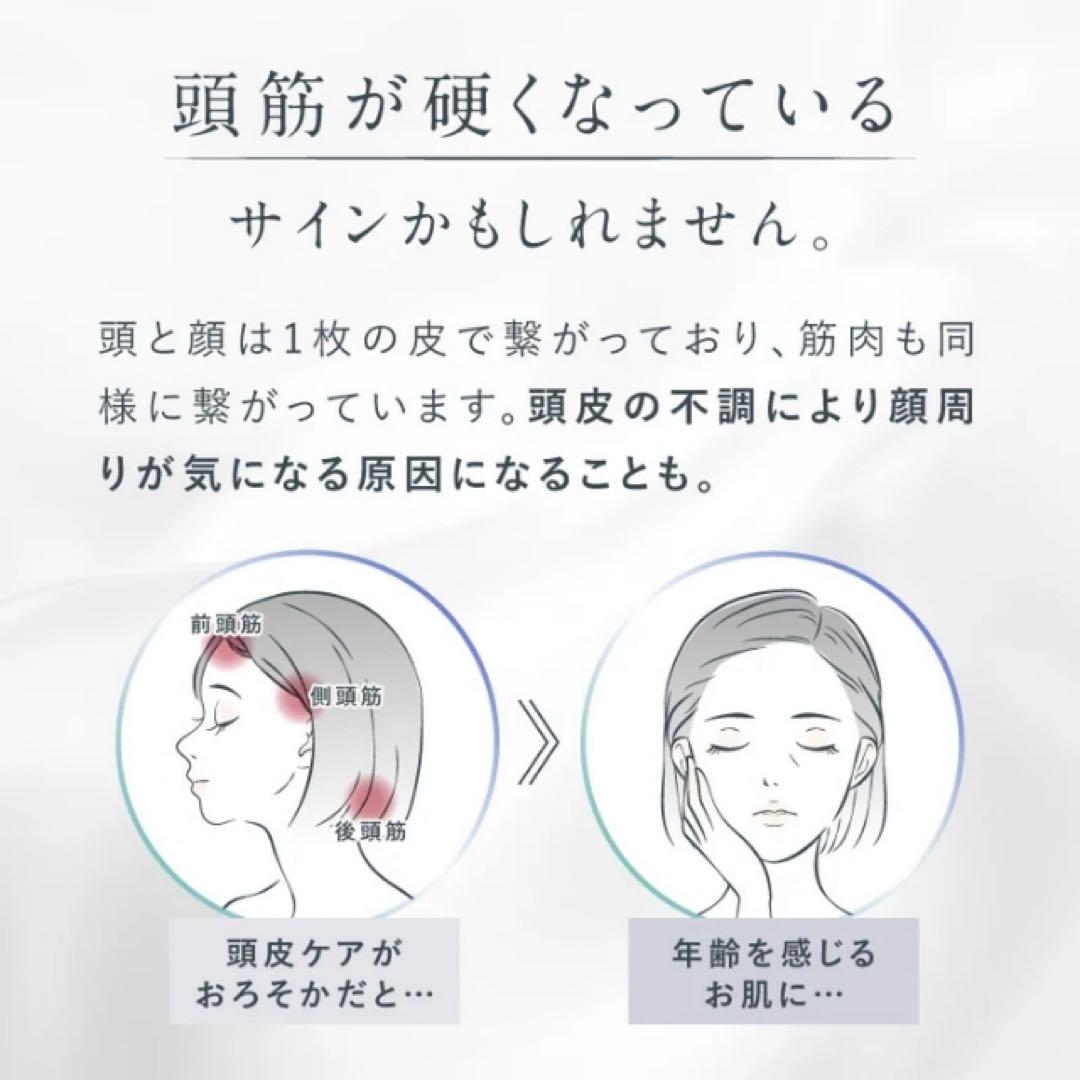 【値下中】NIPLUX EMS CARE BRUSH 美顔器NP-ECB24BK
