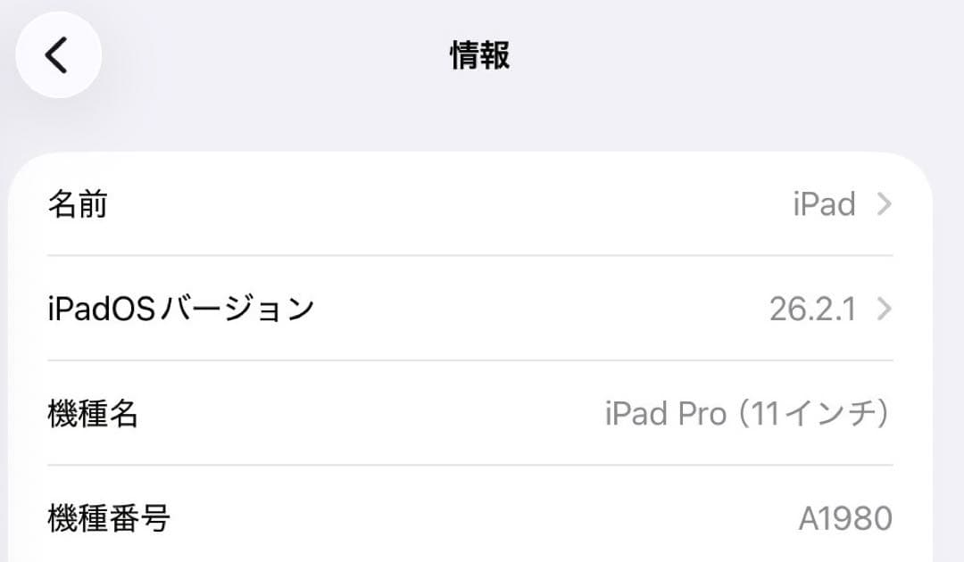 iPad Pro 11 第1世代 64GB A1980 社外スタイラスペン付き
