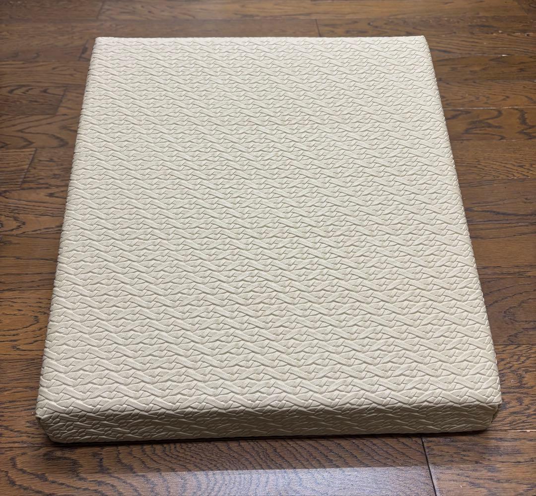 【パンダマニア】サンテプラス：フレックスクッション　Flexcushion