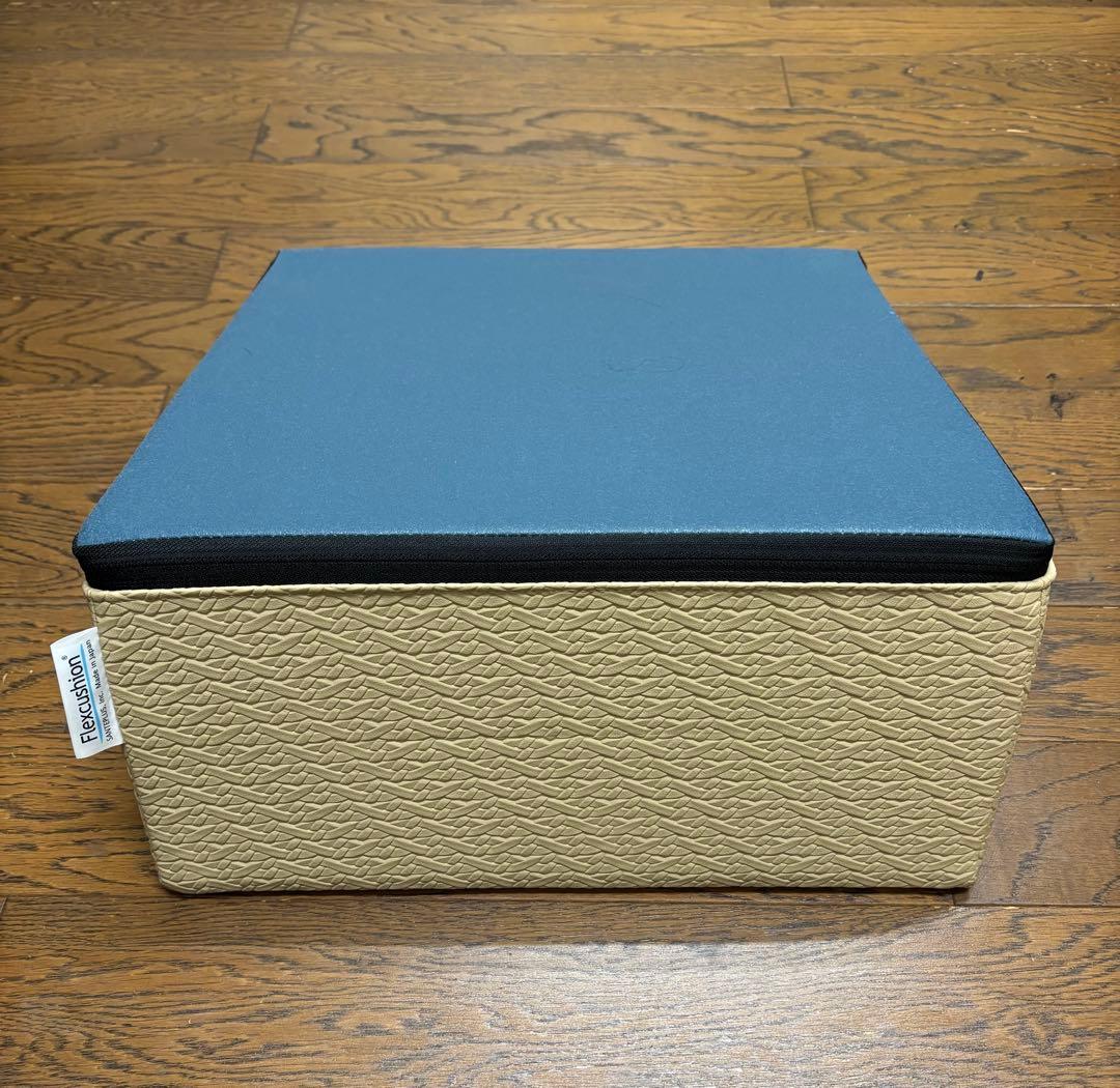 【パンダマニア】サンテプラス：フレックスクッション　Flexcushion