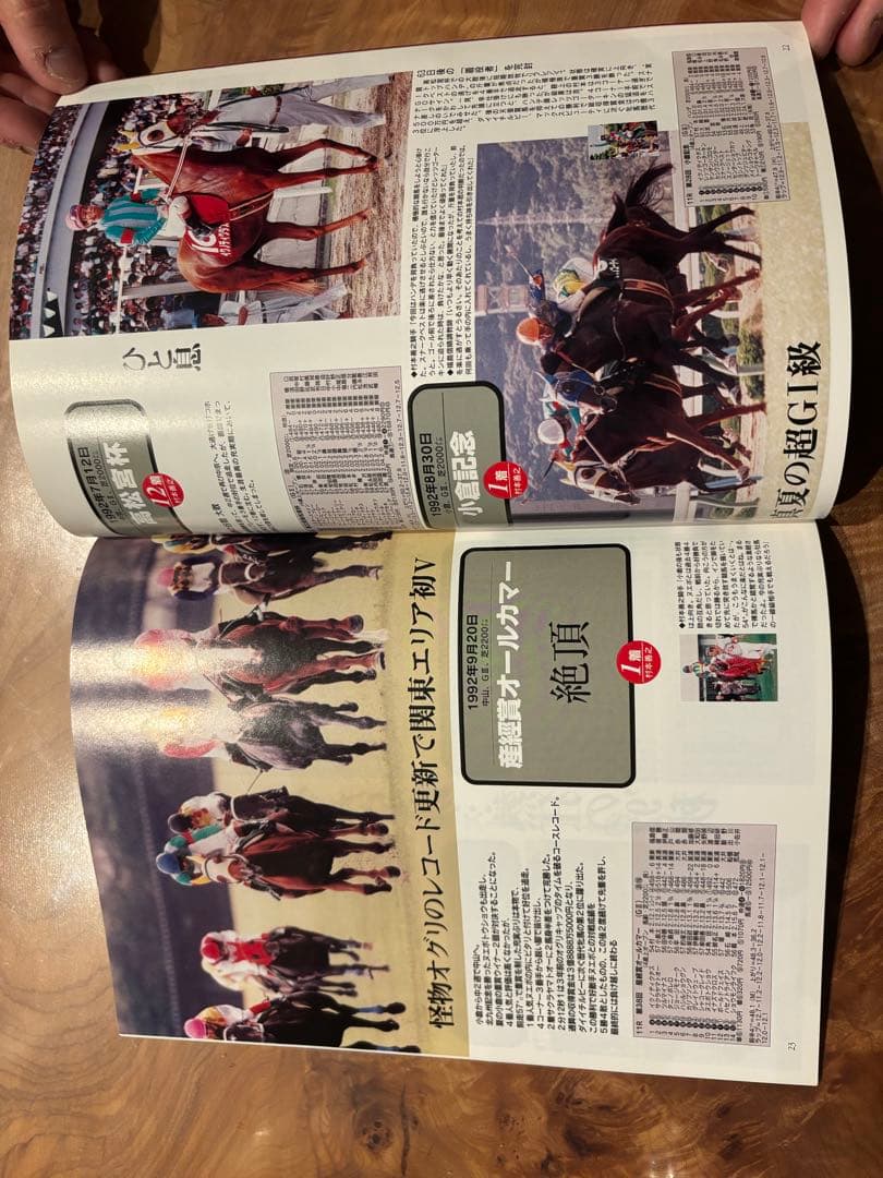 ギャロップGallop臨時増刊　 週刊100名馬 　 21 イクノディクタス
