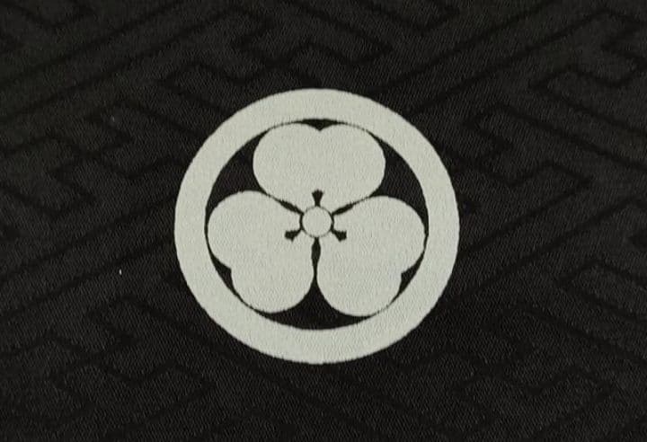 お宮参り 熨斗目 産着 初着 祝い着 掛け着 絹 男の子 七五三