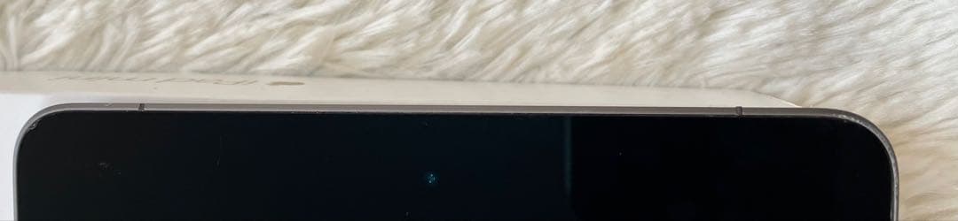 【ラスト1台】iPad mini5 256GB SIMフリー【すぐ発送】