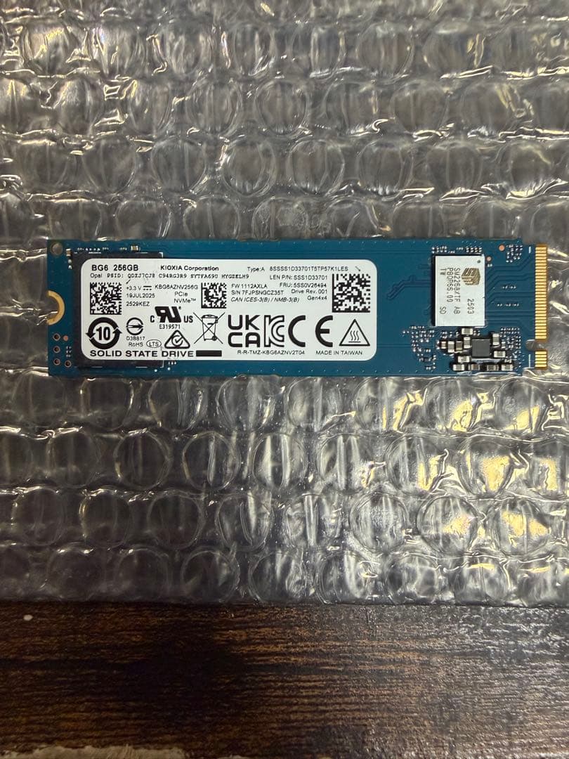 KIOXIA BG6 256GB SSD PCIe Gen4×4 100%