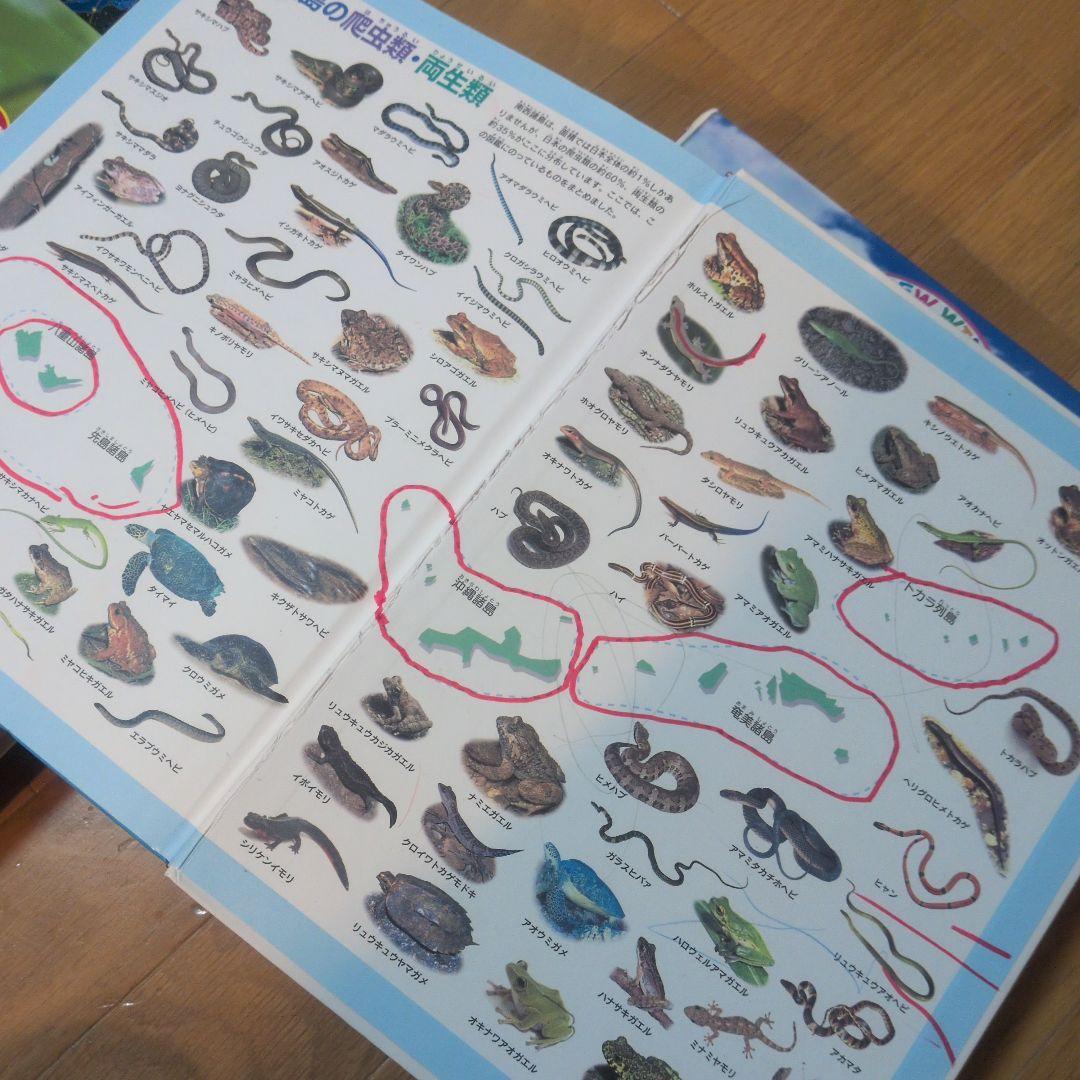 学研の図鑑　まんが歴史人物伝　科学のふしぎな話365 など 24冊セット