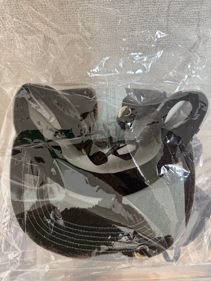 supremeシュプリーム Damien Hirst Camp Cap キャップ