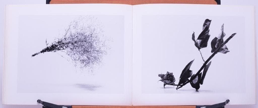 Masaaki Nishimiya Still Life 西野正明写真集「物達」