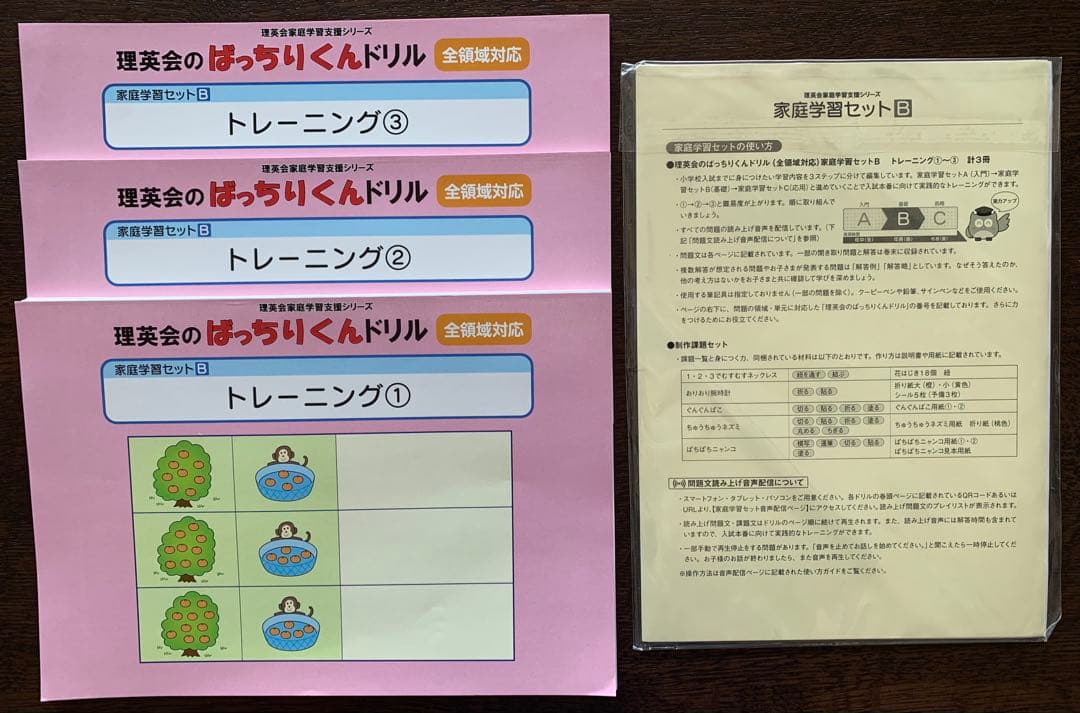 理英会ばっちりくんドリル 家庭学習セット（制作キット付き）