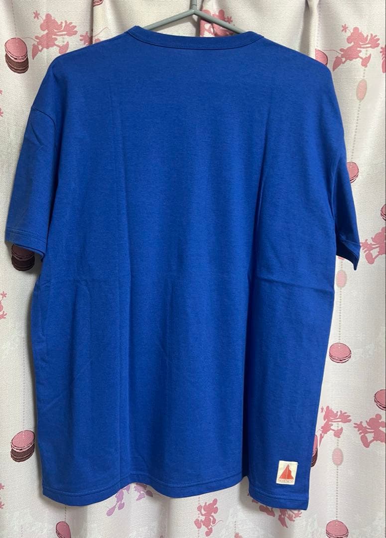 HERENESSヒアネス COTTON×SILKブルーTシャツサイズL未使用品