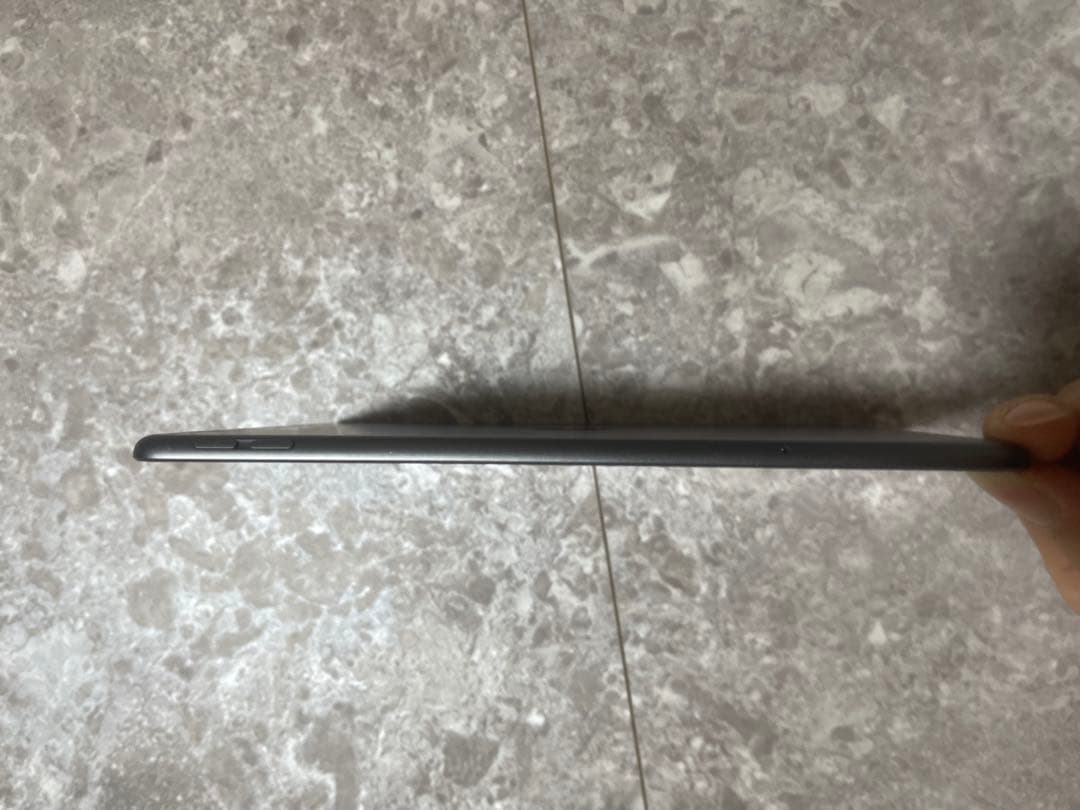 Apple iPad mini 第５世代256GB