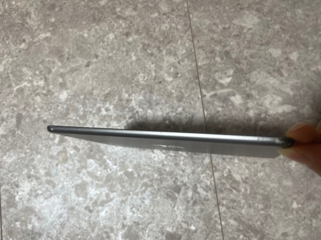Apple iPad mini 第５世代256GB