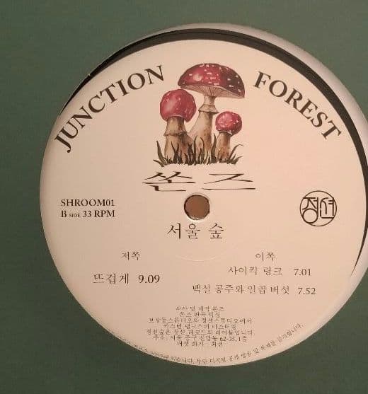 洋楽 S.O.N.S Seoul Forest EP