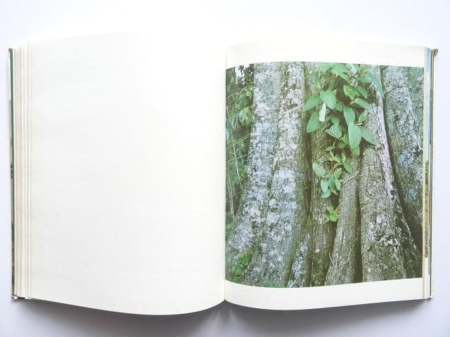 洋書◆ベネズエラ写真集 本 南米 風景 景色 建物 建築
