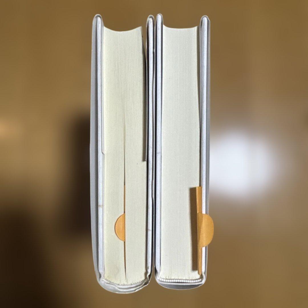 デリダ『絵葉書』Ⅰ・Ⅱ 2冊セット