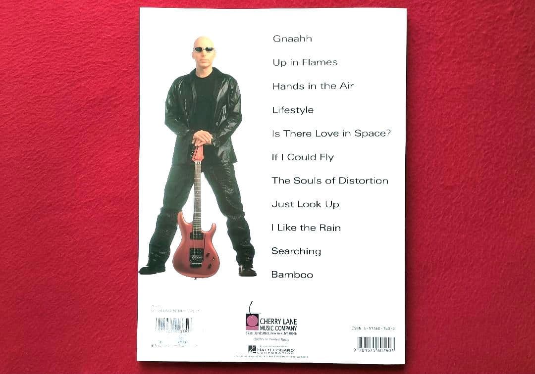 アート・デザイン・音楽 tomobuta Joe Satriani - Is There Love