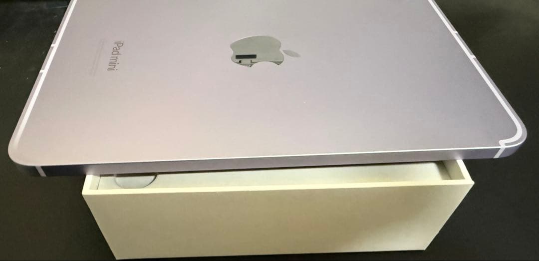 iPad本体 iPad mini 7 (A17Pro)128GB wifi+ Cellular