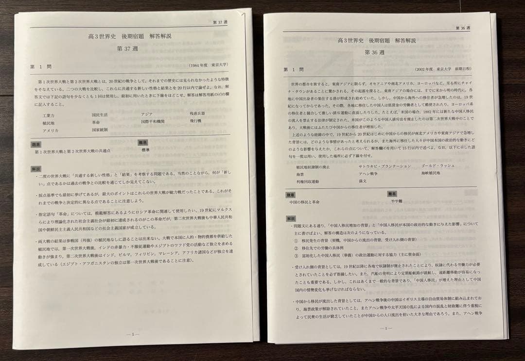鉄緑会 高３ 世界史 問題集 授業内プリント 11回分