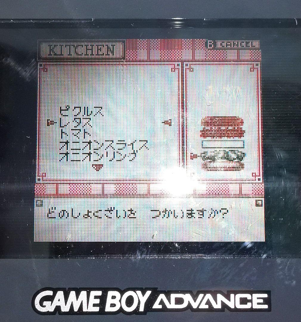 バーガーパラダイス インターナショナル ゲームボーイ カラー ニンテンドー