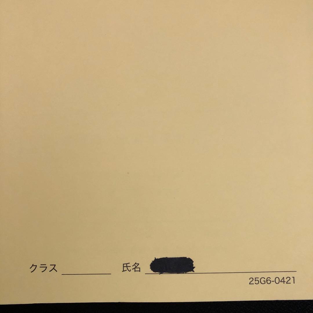 【新品・未使用】鉄緑会 '25 高3化学 化学発展講座 問題集