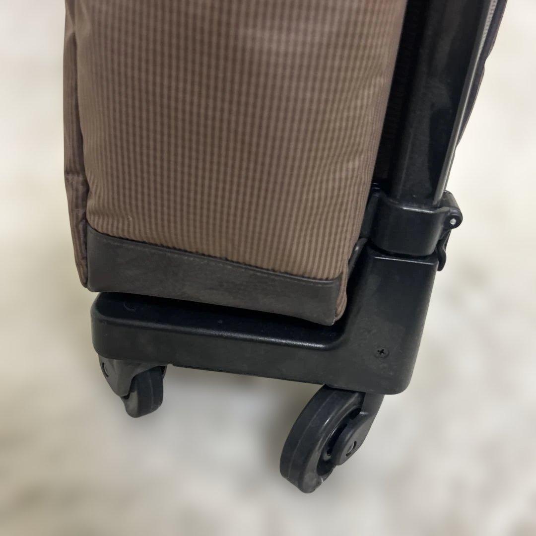 美品　SWANY Mサイズ　ルバンド　キャリーバック　グレージュ色