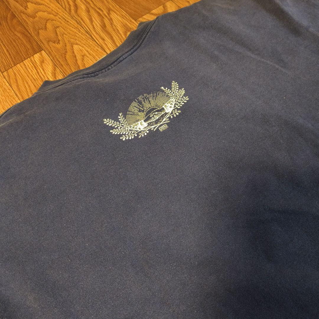 ビンテージ 90s PLEXI Tシャツ プレクシィ subpop 1990s