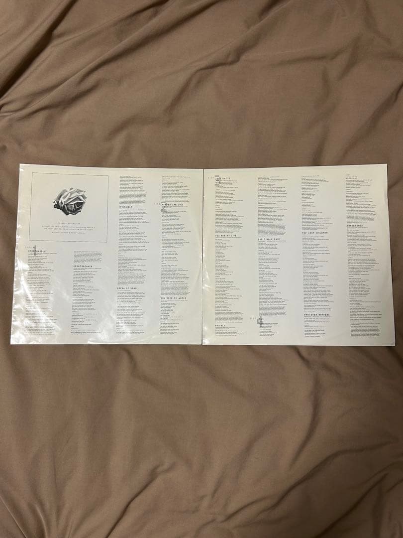 Michael Jackson Invincible レコード