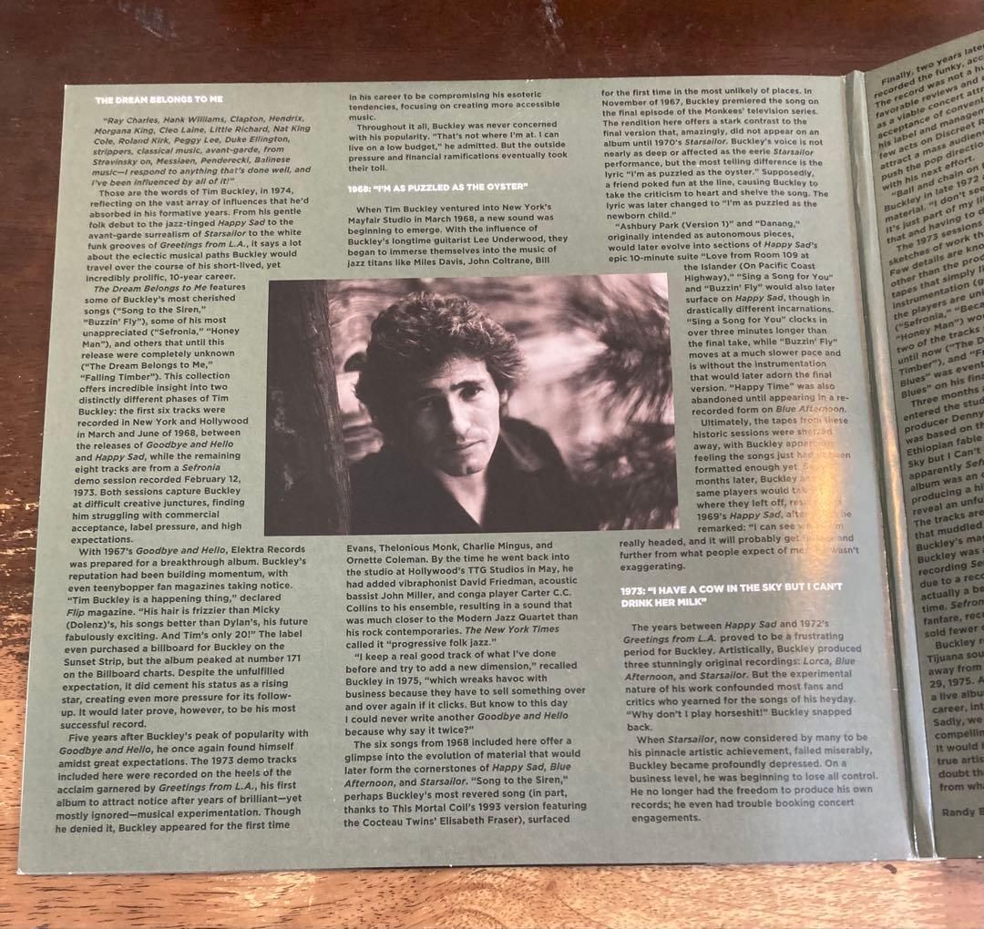 ◾️アシッドフォーク名盤■TIM BUCKLEY■ティムバックリィ■ The D