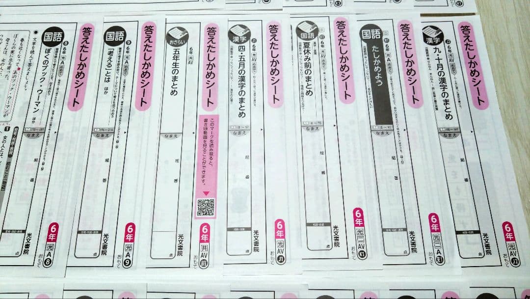 小学校6年　小6 国語　カラーテスト　答えたしかめシート