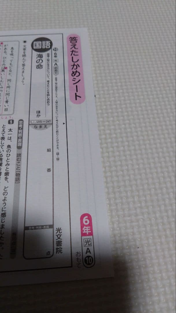 小学校6年　小6 国語　カラーテスト　答えたしかめシート