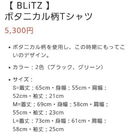 【超美品】BLiTZ　 ボタニカル　Tシャツ 半袖　Ｌ