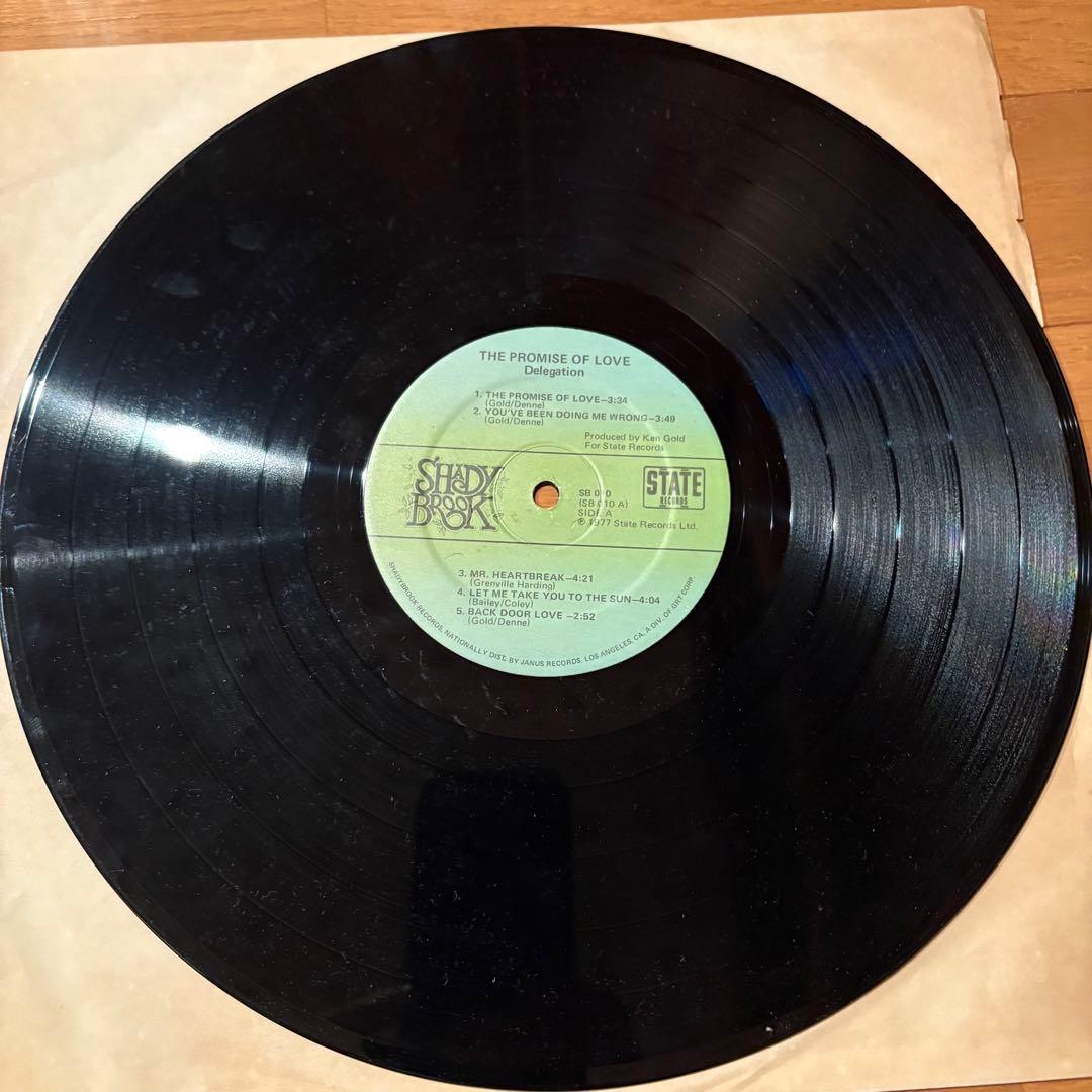 USオリジナル盤PROMISE OF LOVE DELEGATION LP