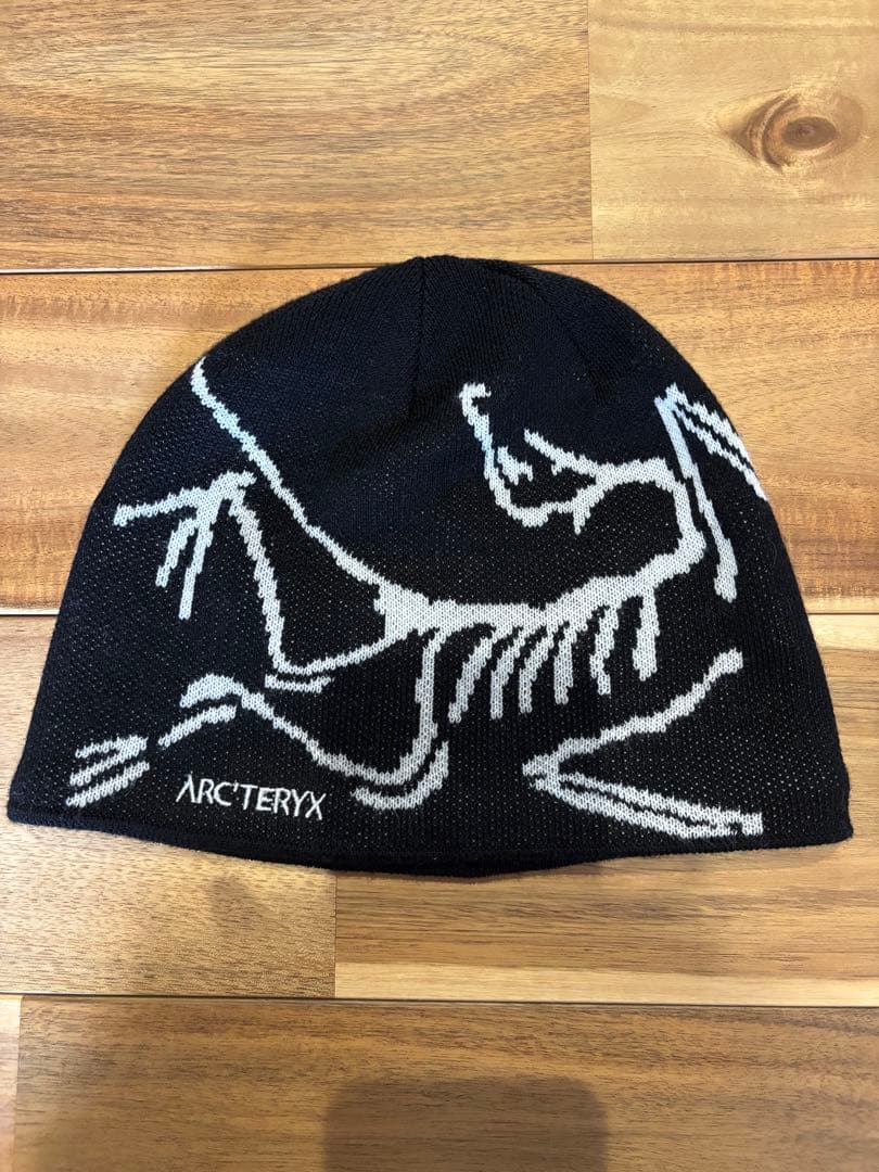 c*e様 【国内正規品】アークテリクス バードヘッドトーク Orca