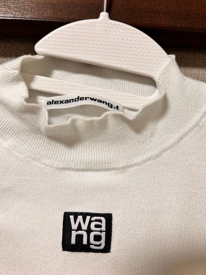 【週末値下げ！】alexander wang ハーフネックニットTシャツ