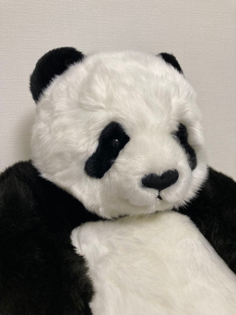 抱っこシャンシャン