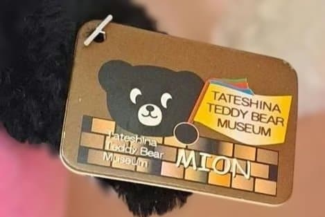 レア蓼科テディベア美術館限定 ぬいぐるみ 黒クマ MION ミオンタグ付き
