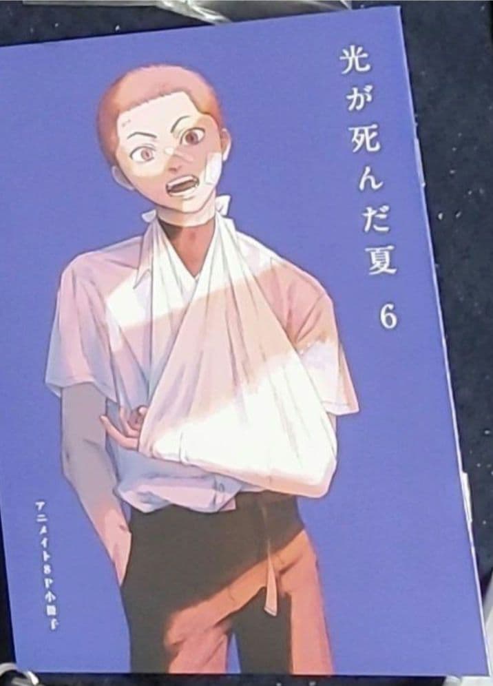 光が死んだ夏　アニメイト有償特典小冊子
