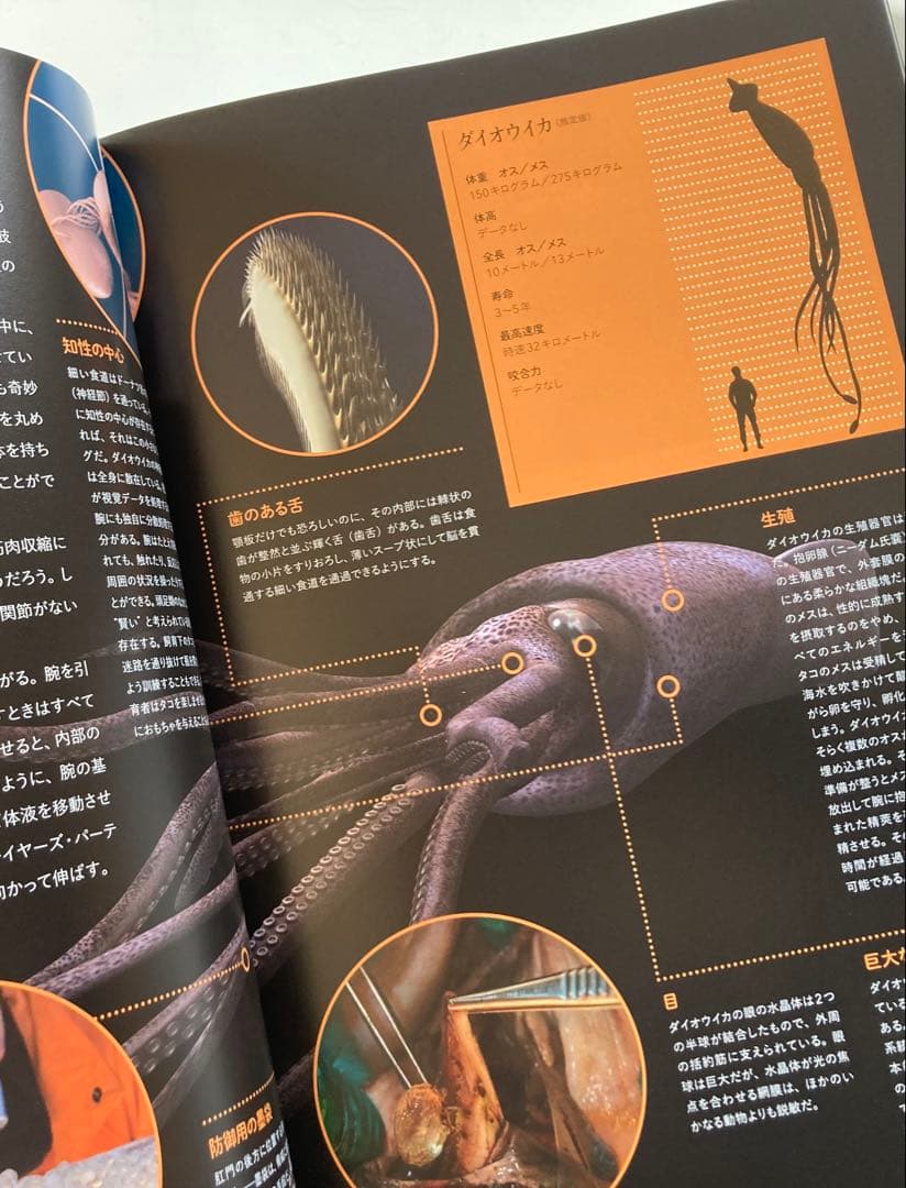 巨大生物解剖図鑑