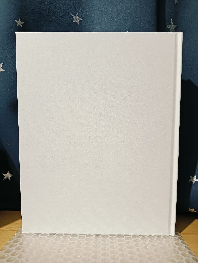 新品未読品　ダイレクト出版　ベストアイデア全集2025