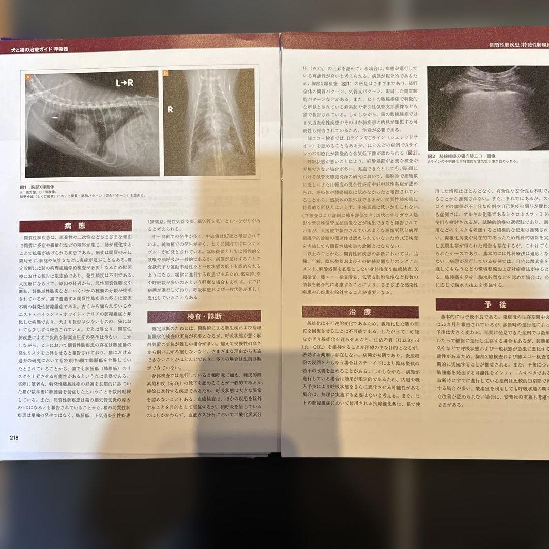 rac　裁断書籍　猫の超音波検査、犬と猫の治療ガイド 私はこうしている