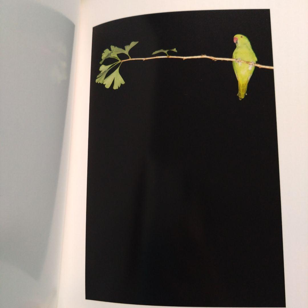 水谷吉法写真集　Yoshinori Mizutani Tokyo Parrots
