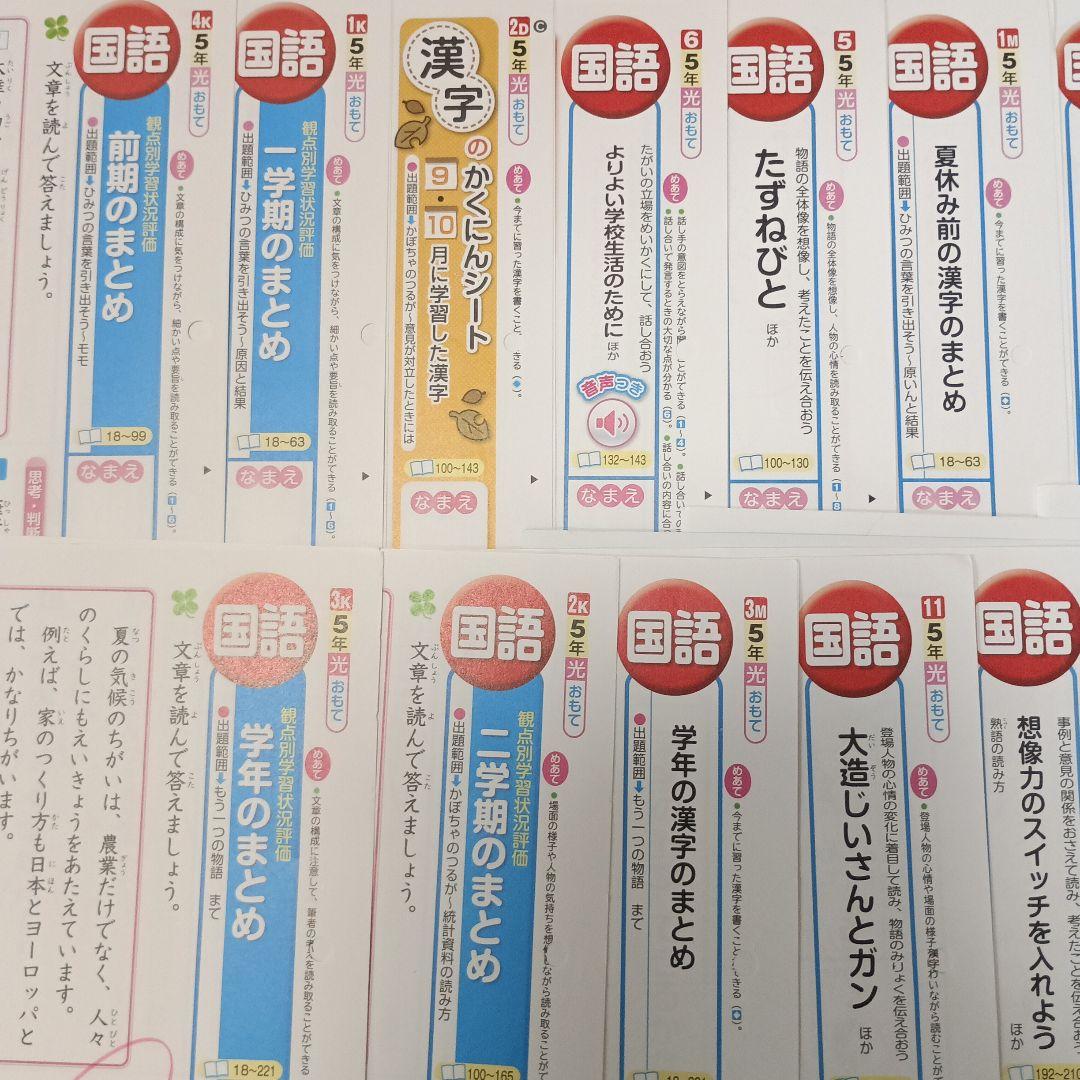 国語　小学校５年生　カラーテスト