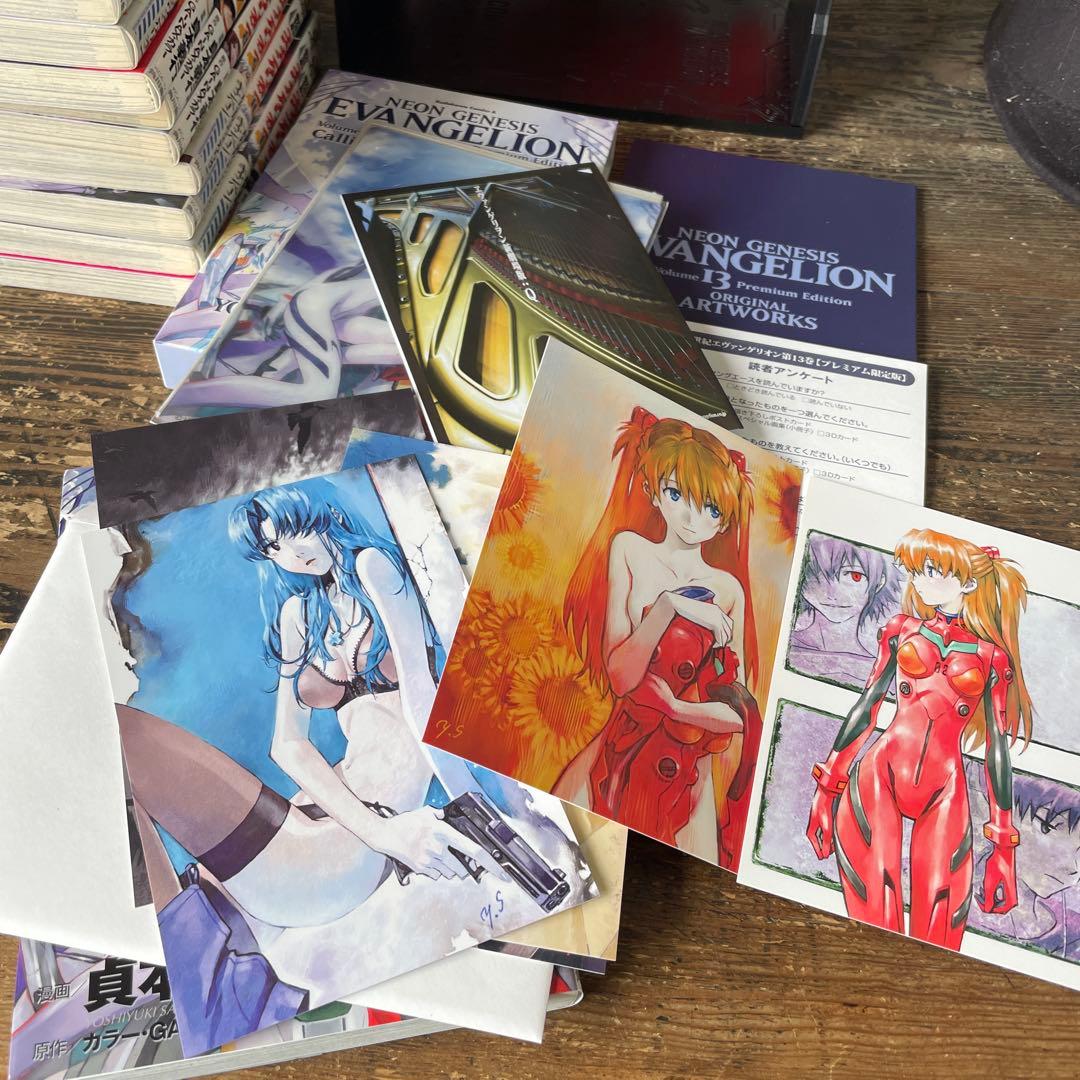 新世紀エヴァンゲリオン 全14巻 完結 プレミアム版13・14 特典付