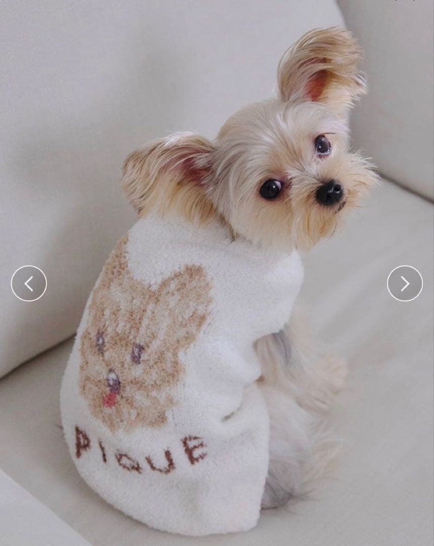 gelato pique ペット　犬服　メレンゲdogヨーキー　S