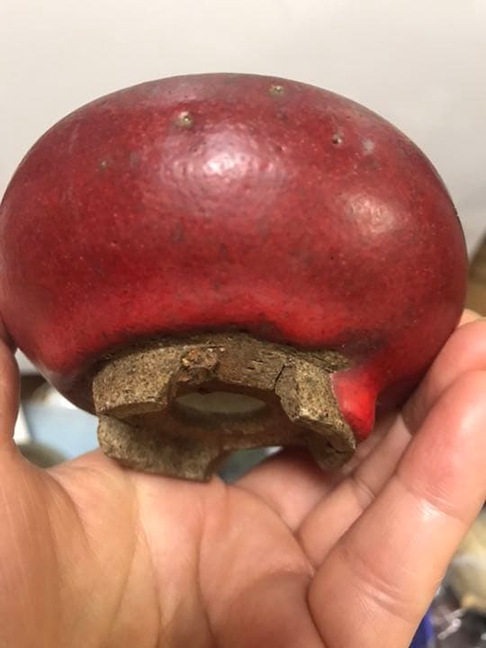 盆栽鉢　鶏血時代希少ミニ盆栽鉢不明落款〜亭支那鉢和鉢古色赤い盆栽鉢山野草多肉植物