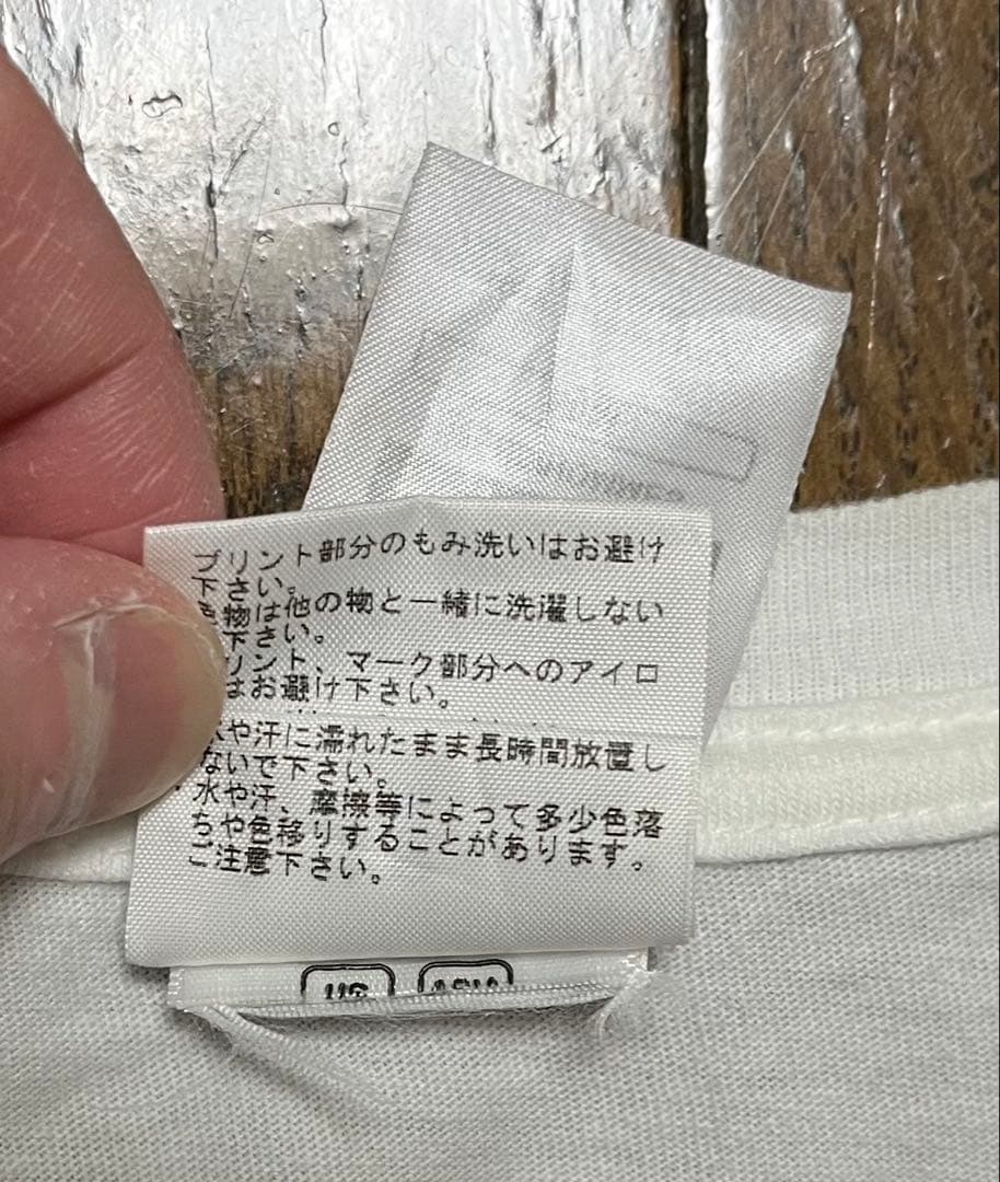Supreme / The North Face® llic Logo