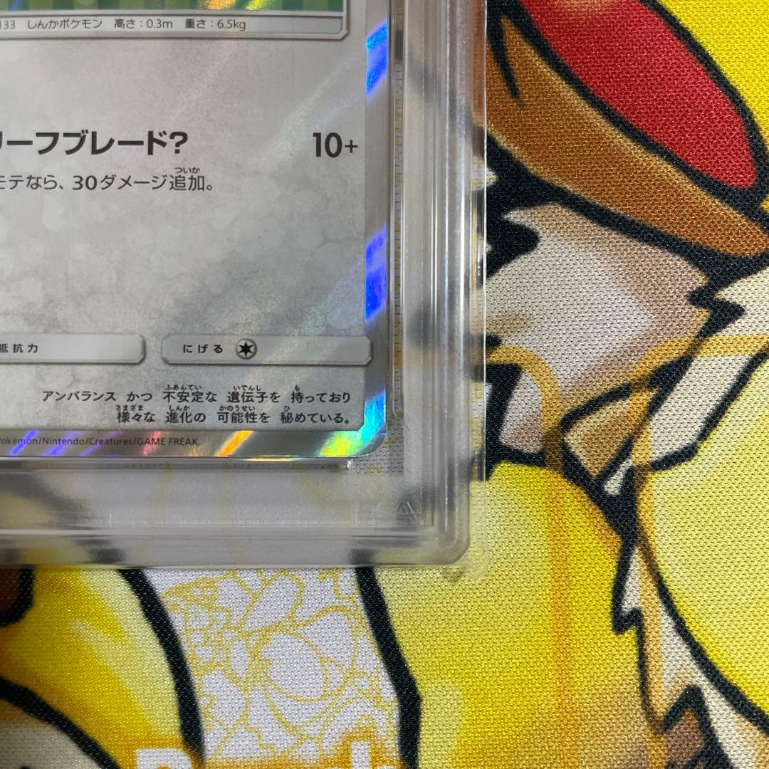 ポンチョを着たイーブイリーフィアPSA9