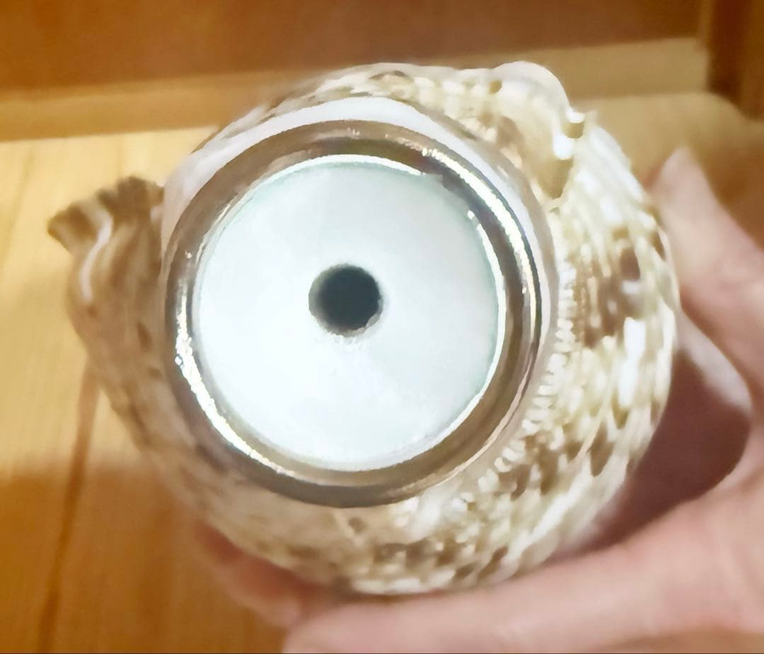 コンパクト修験道法螺貝　山伏　密教　魔除け　熊よけ❣️