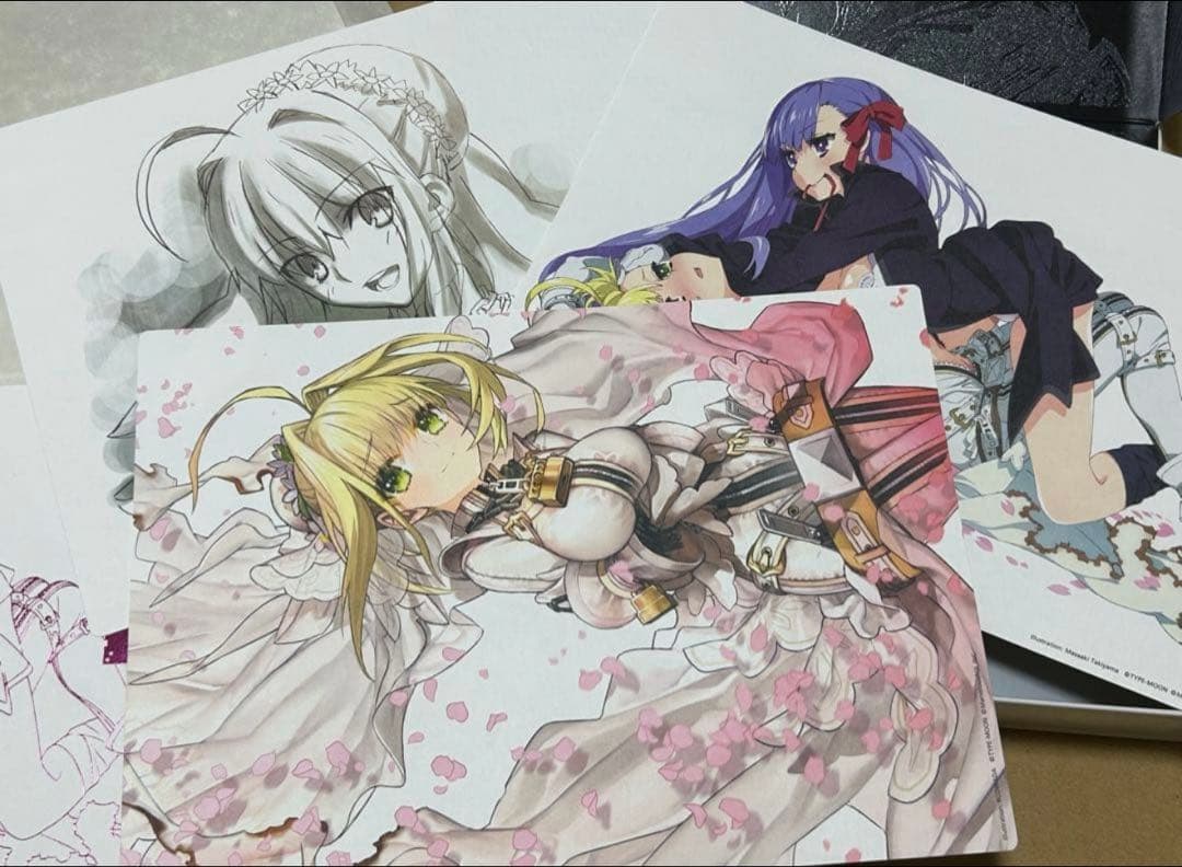 Fate/ EXTRA CCC Labyrinth BOX 開封済