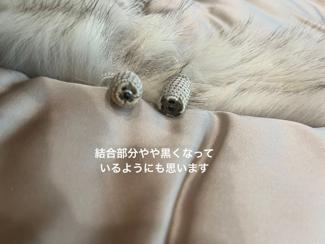 【即日発送対応 美品】SAGA FOX  金刺繍 成人式 着物