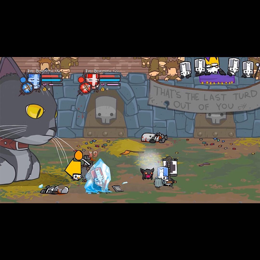 Castle Crashers キャッスルクラッシャーズ switch